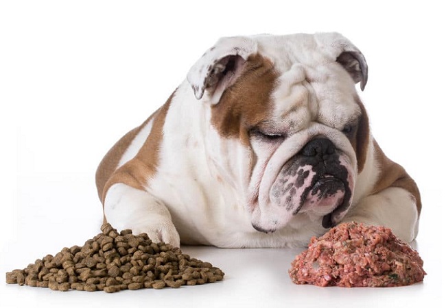 pork meal in dog food
