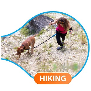 Best Hiking Dog Leash