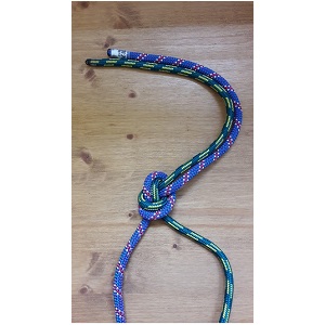 Handle loop in dog leash