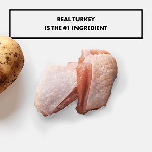Real Turkey in Nutro Limited Ingredient Diet Wet Dog Food
