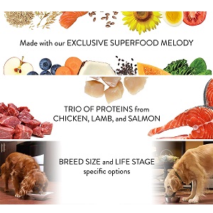 The Adult Superfood Plate With A Trio of Proteins 