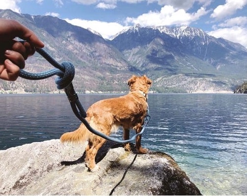 How to Make a Dog Leash from a Climbing Rope