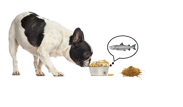 Salmon Meal in Dog Food