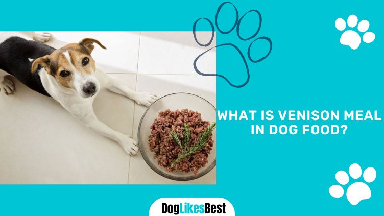 Venison Meal in Dog Food