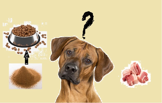 What is pork meal in dog food?