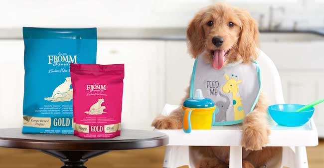 Fromm Dog Food Reviews