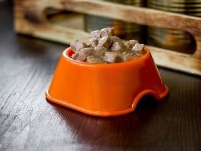 Beef Meal in Dog Food