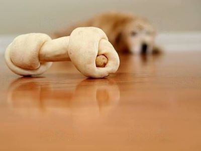Rawhide Rawhide