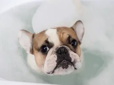 soapy water soapy water