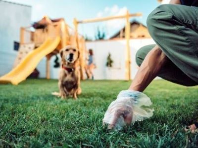 Cleaning Dogs Poop