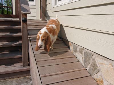 Dog Ramp For Stairs