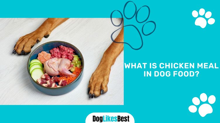 Chicken Meal in Dog Food