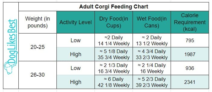 Adult Corgi Feeding Chart