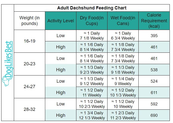 Adult Dachshund Feeding Chart