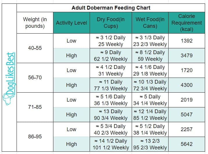 Adult Doberman Feeding Chart