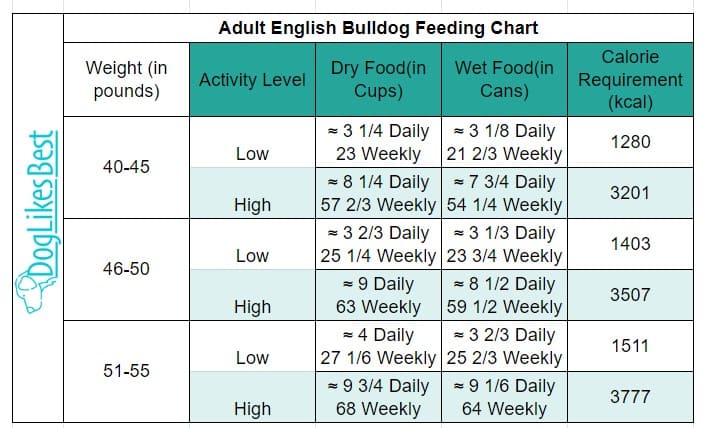 Adult English Bulldog Feeding Chart