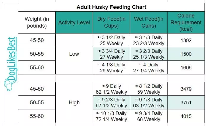 Adult Husky Feeding Chart