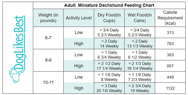 Adult Miniature Dachshund Feeding Chart