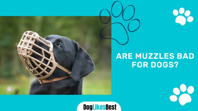 Muzzles Bad For Dogs