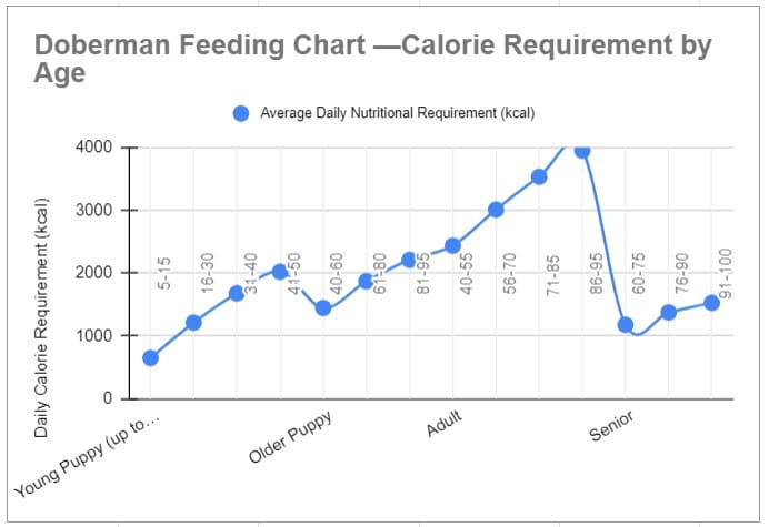 Doberman Feeding Chart