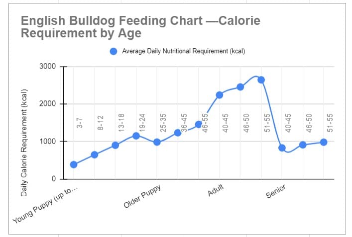 English Bulldog Feeding Tips
