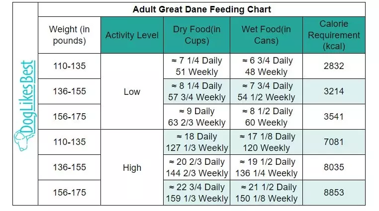 Adult Great Dane Feeding Chart