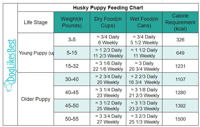 Husky Puppy Feeding Chart