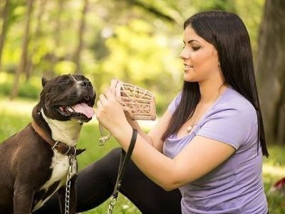 Muzzle For Dogs