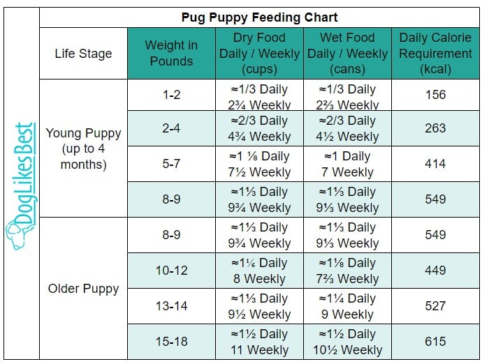 Pug Puppy Feeding Chart