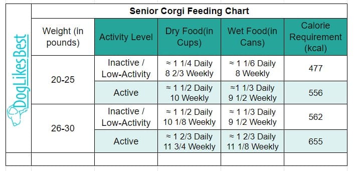 Senior Corgi Feeding Chart