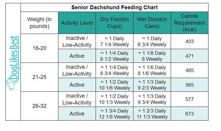 Senior Dachshund Feeding Chart