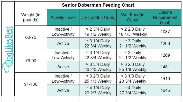 Senior Doberman Feeding Chart Senior Doberman Feeding Chart