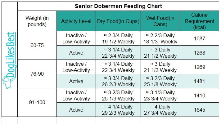 Senior Doberman Feeding Chart