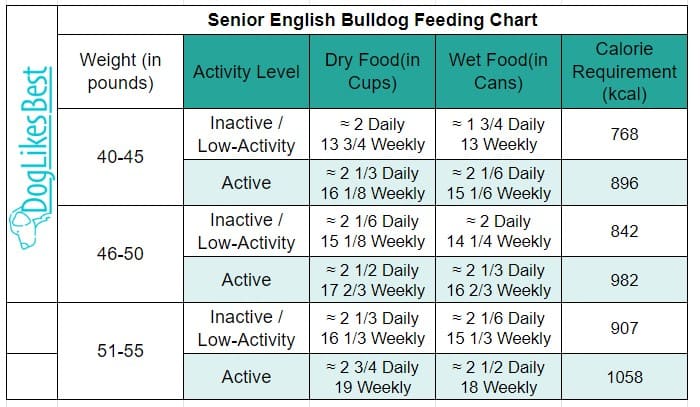 Senior English Bulldog Feeding Chart