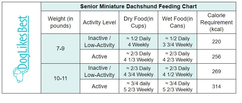 Senior Miniature Dachshund Feeding Chart