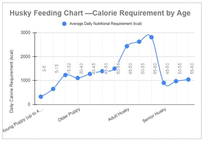 Siberian Husky Feeding Tips