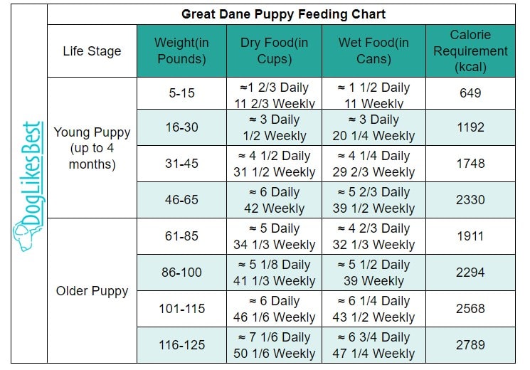 Great Dane Puppy Feeding Chart