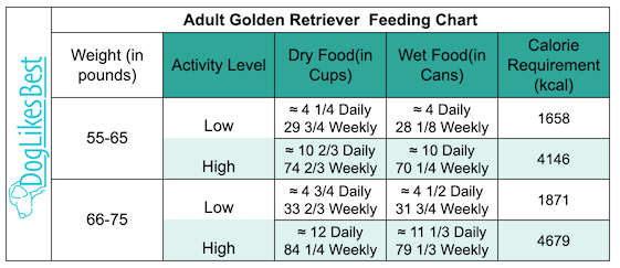 Adult Golden Retriever Feeding Chart