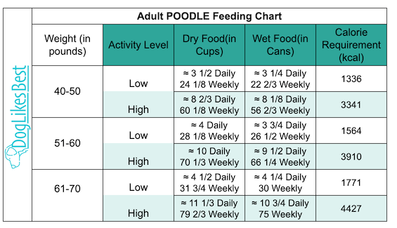 Adult Poodle Feeding Chart