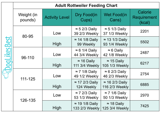 Adult Rottweiler Feeding Chart