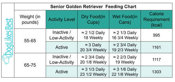 Senior Golden Retriever Feeding Chart