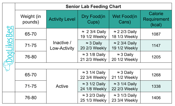 Senior Labrador Feeding Chart