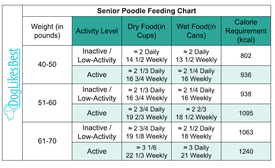 Senior Poodle Feeding Chart