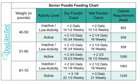 Senior Poodle Feeding Chart