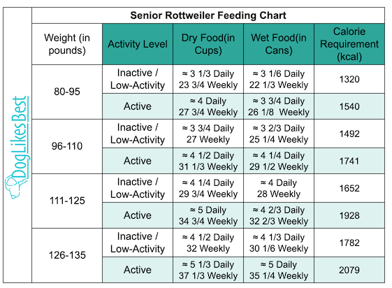 Senior Rottweiler Feeding Chart