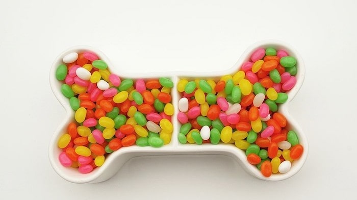 Jelly Beans Toxicity in Dogs