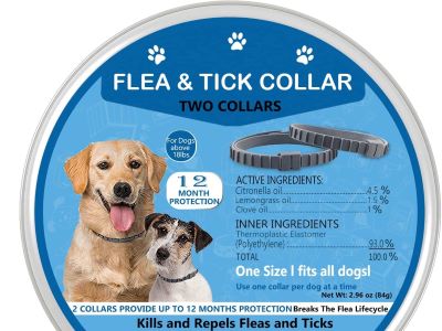 Dog Flea Collar