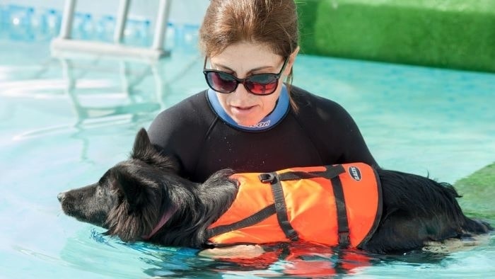 How to teach a dog to swim underwater