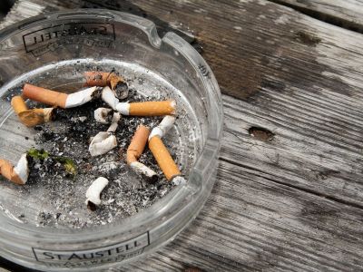 Symptoms of nicotine poisoning in dogs