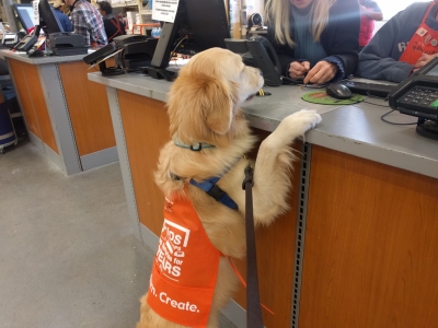 Dog Paying Bill